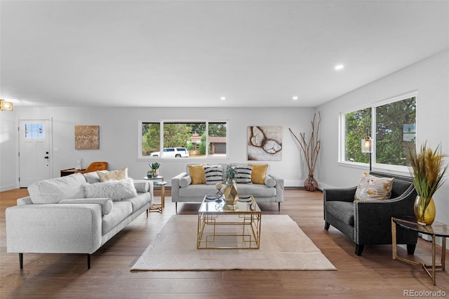 living room with hardwood / wood-style flooring