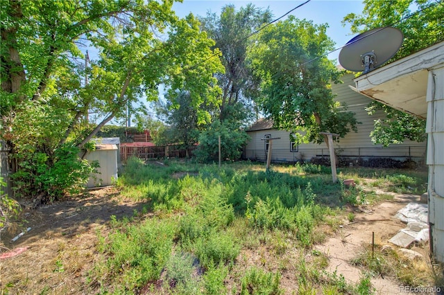 view of yard featuring a shed