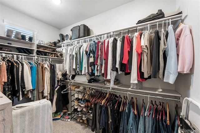 2078 Autumn Moon Dr Unit 3, Windsor, CO 80550 - spacious closet with carpet floors