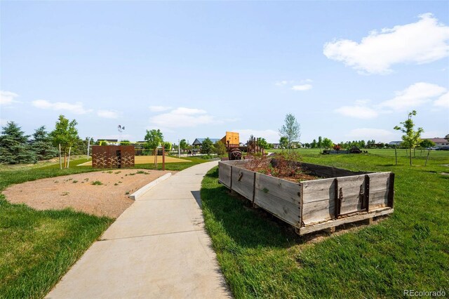 2078 Autumn Moon Dr Unit 3, Windsor, CO 80550 - view of green lawn