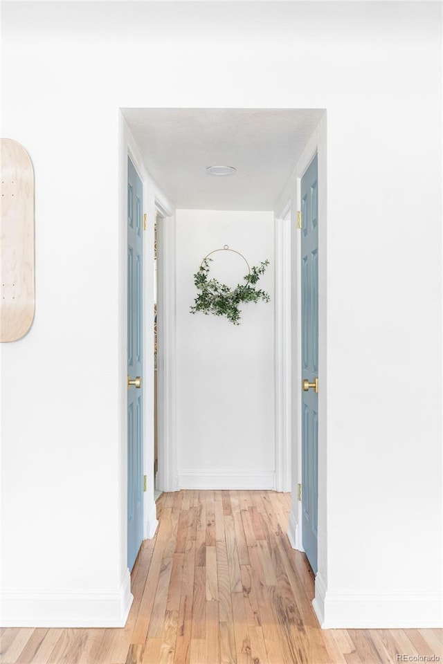 2313 S Race St Unit A, Denver, CO 80210 - hallway with light wood-style floors and baseboards