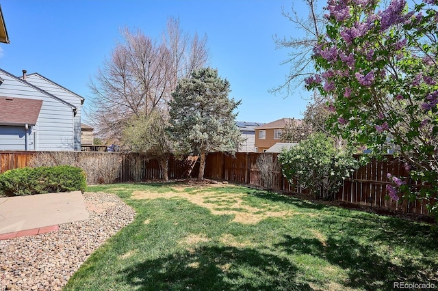 view of yard featuring a fenced backyard and a patio area