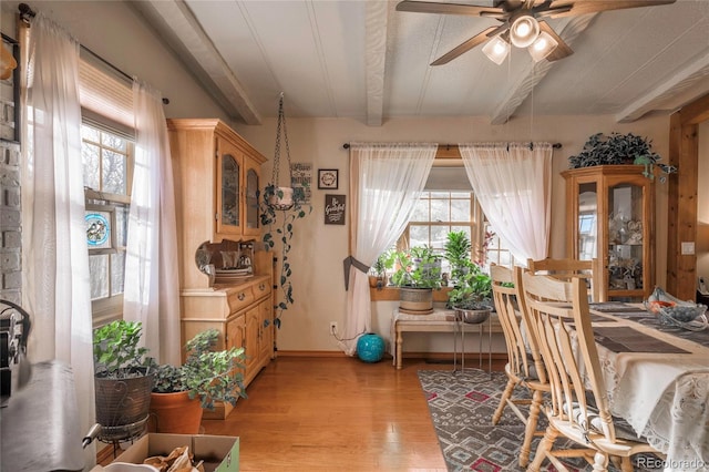 dining area with beamed ceiling, ceiling fan, a healthy amount of sunlight, and light wood-type flooring