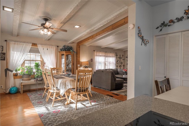 dining area featuring beam ceiling, wood-type flooring, and ceiling fan