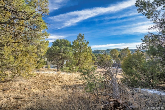 view of landscape