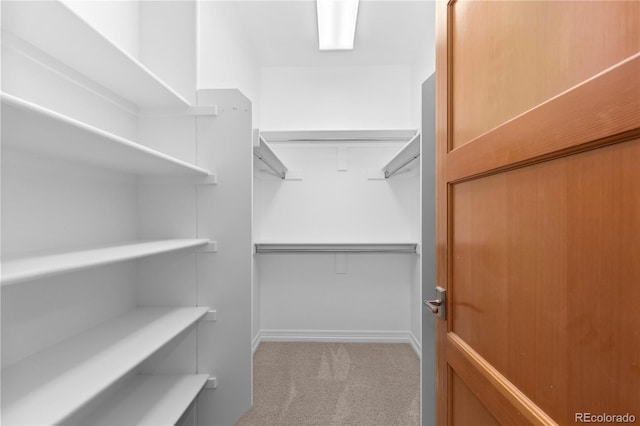 1172 S Steele St, Denver, CO 80210 - spacious closet with light colored carpet