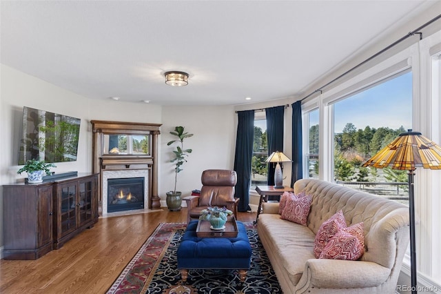 living room featuring a glass covered fireplace and wood finished floors