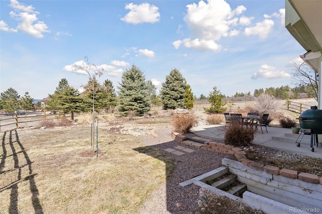 view of yard featuring a patio and a fenced backyard