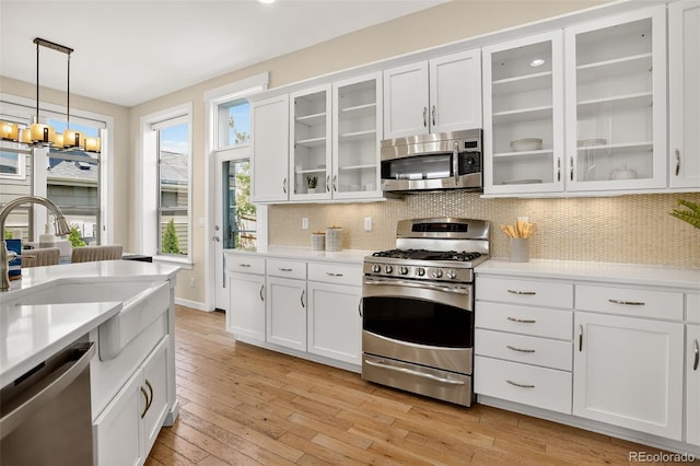 7939 Stoll Pl, Denver, CO 80238 - photo 11