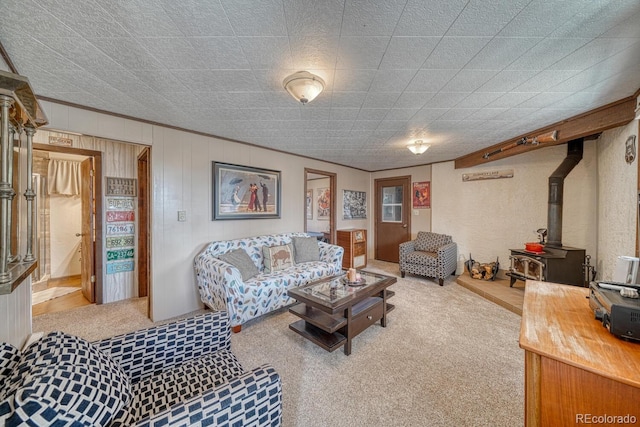 37820 Twin Kopie Dr, Buena Vista, CO 81211 - photo 16