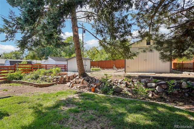 view of yard featuring a shed