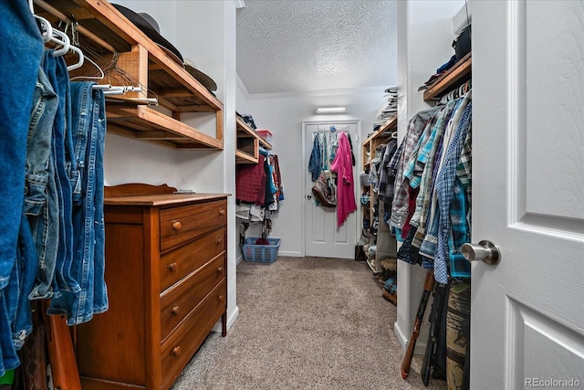 walk in closet with light carpet