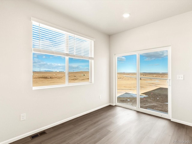 spare room featuring plenty of natural light and hardwood / wood-style floors