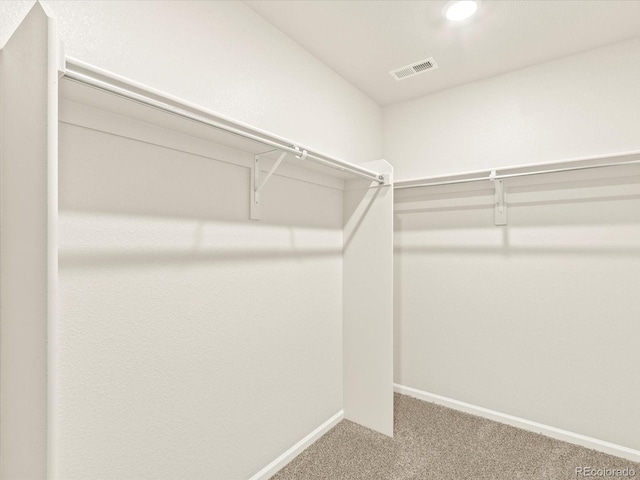 spacious closet featuring carpet