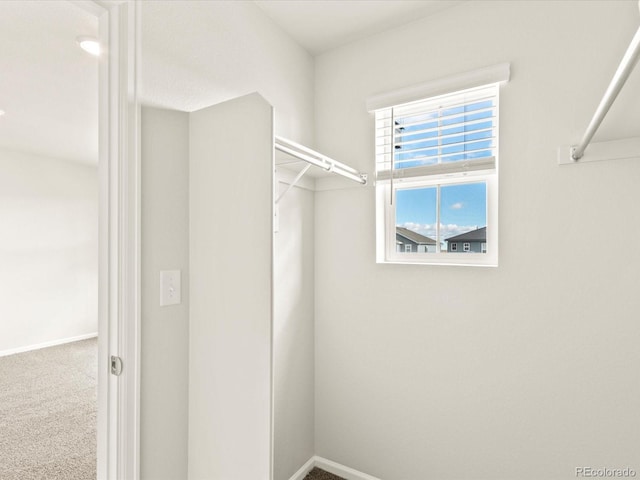 walk in closet with carpet floors