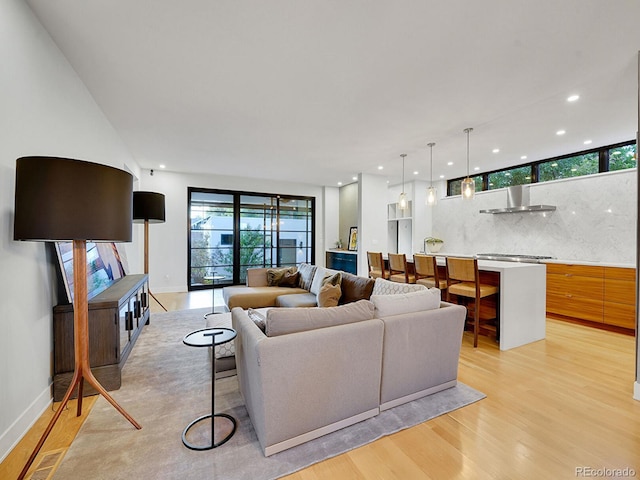 living room featuring light hardwood / wood-style flooring