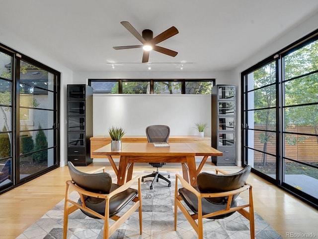 office space featuring ceiling fan, plenty of natural light, and light hardwood / wood-style flooring