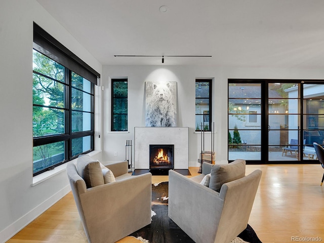 living room with light hardwood / wood-style flooring