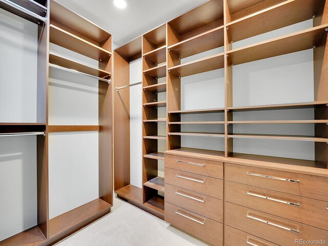 spacious closet with light colored carpet