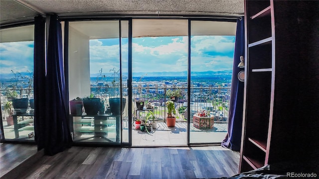 doorway to outside with wood-type flooring, expansive windows, and a healthy amount of sunlight