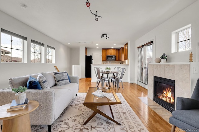 living room featuring a tile fireplace and light hardwood / wood-style flooring