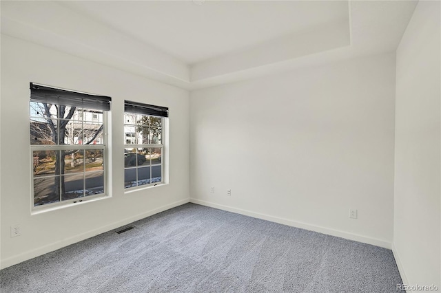 unfurnished room with carpet flooring and a raised ceiling