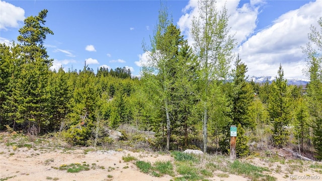 144 Tall Pine Cir, Grand Lake, CO 80447 - view of local wilderness