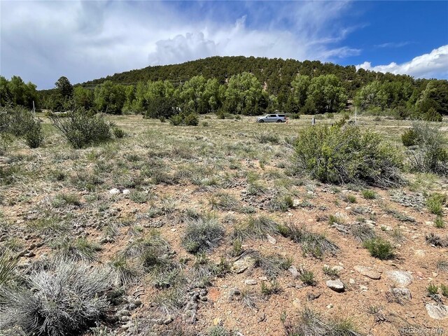 16115 Rocky Mountain Rd, Salida, CO 81201 - photo 9
