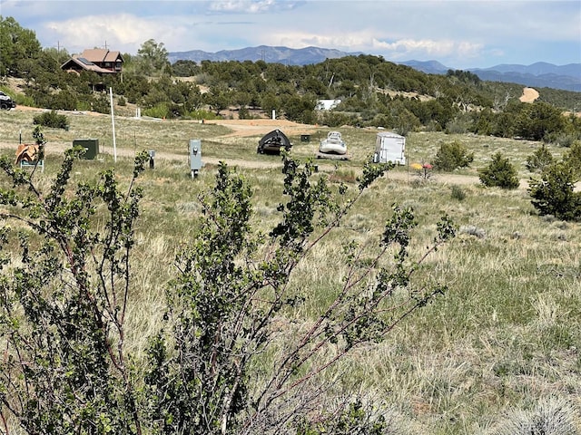 16115 Rocky Mountain Rd, Salida, CO 81201 - photo 11