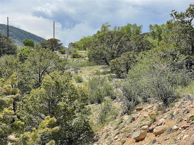 16115 Rocky Mountain Rd, Salida, CO 81201 - photo 21