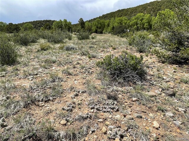 16115 Rocky Mountain Rd, Salida, CO 81201 - photo 22