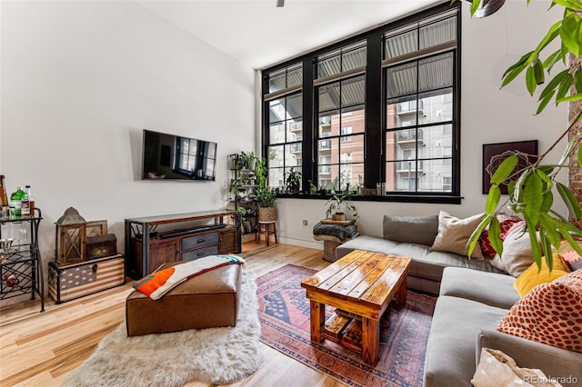 living room featuring wood-type flooring