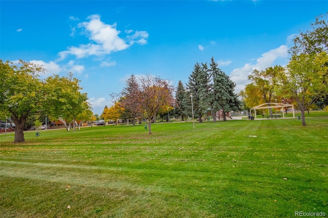 view of community featuring a yard