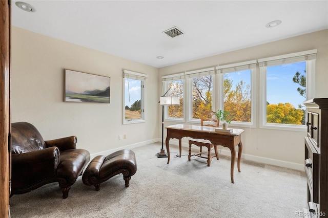 view of carpeted office