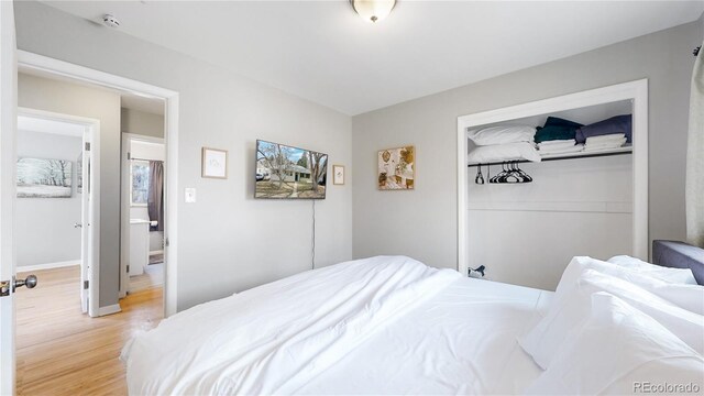 1852 S Forest St, Denver, CO 80222 - photo 18