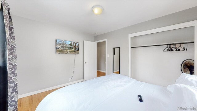 1852 S Forest St, Denver, CO 80222 - photo 23