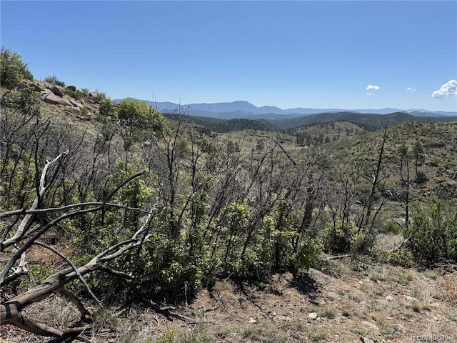 TR-29 18x, Cotopaxi, CO 81223