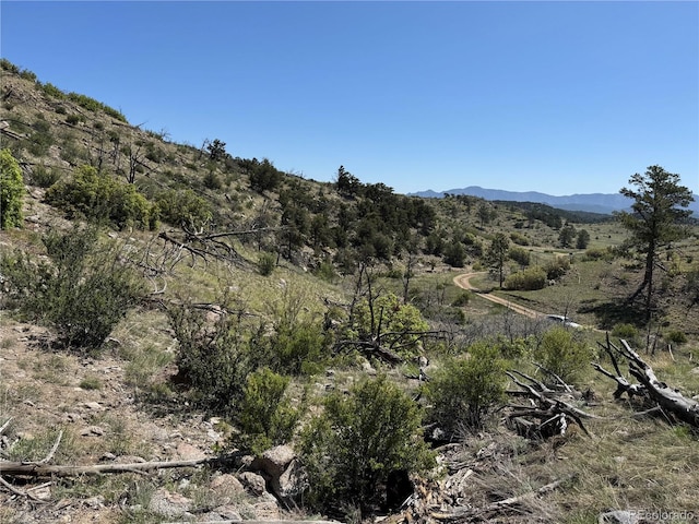 TR-29 18x, Cotopaxi, CO 81223