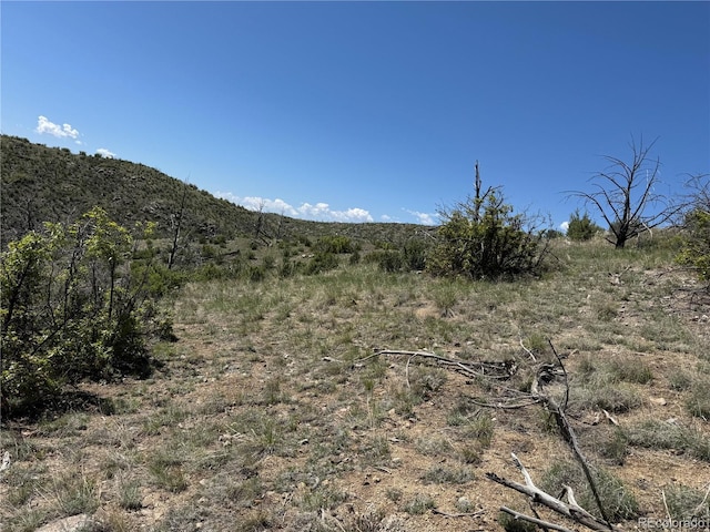 TR-29 18x, Cotopaxi, CO 81223