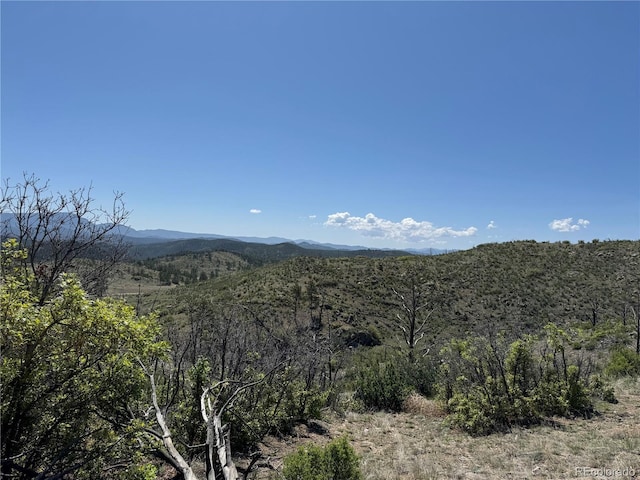 TR-29 18x, Cotopaxi, CO 81223