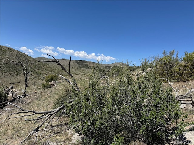 TR-29 18x, Cotopaxi, CO 81223