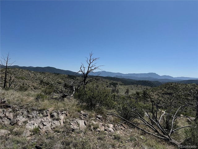 TR-29 18x, Cotopaxi, CO 81223