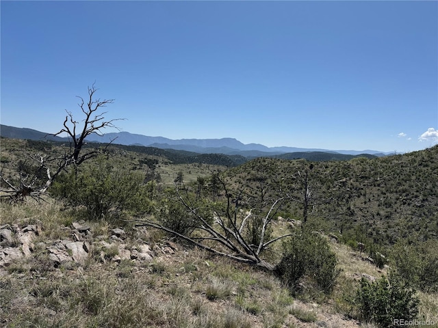 TR-29 18x, Cotopaxi, CO 81223