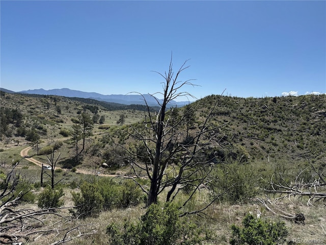 TR-29 18x, Cotopaxi, CO 81223