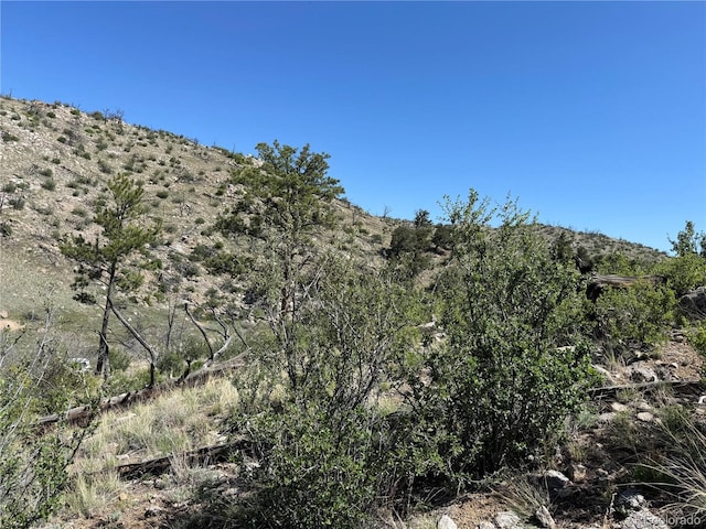 TR-29 18x, Cotopaxi, CO 81223
