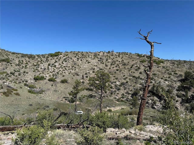 TR-29 18x, Cotopaxi, CO 81223