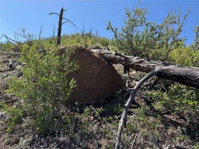 TR-29 18x, Cotopaxi, CO 81223
