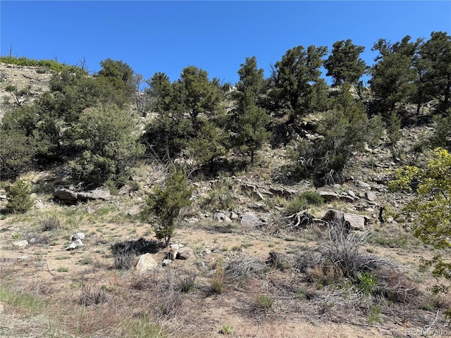 TR-29 18x, Cotopaxi, CO 81223