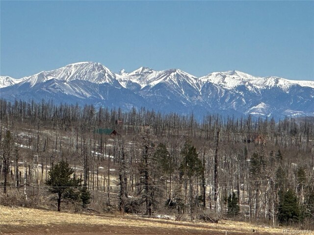 2332 Hayden Ln, Fort Garland, CO 81133 - photo 1