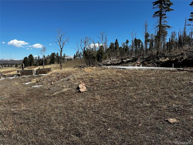 2332 Hayden Ln, Fort Garland, CO 81133 - photo 4